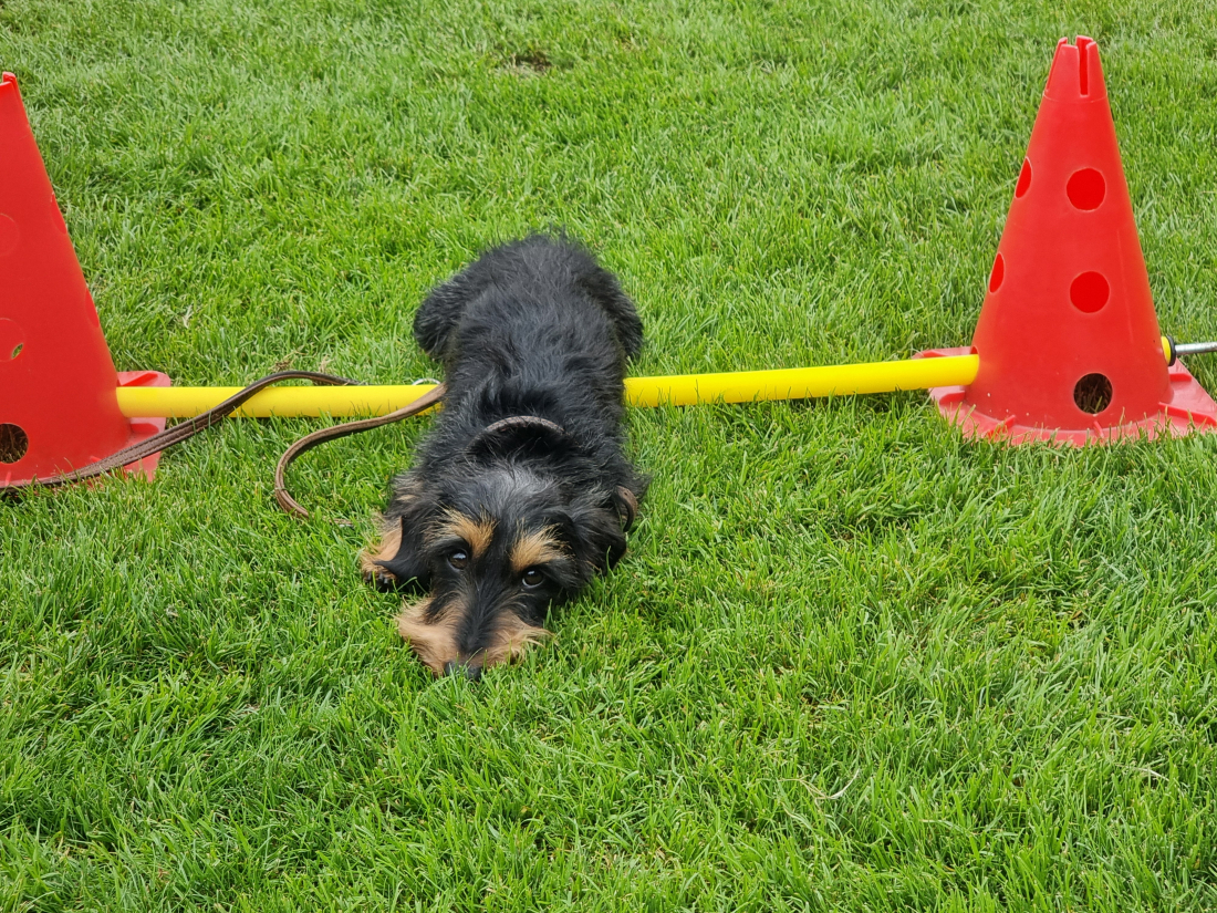 Verbindlichkeit durch Konsequenz