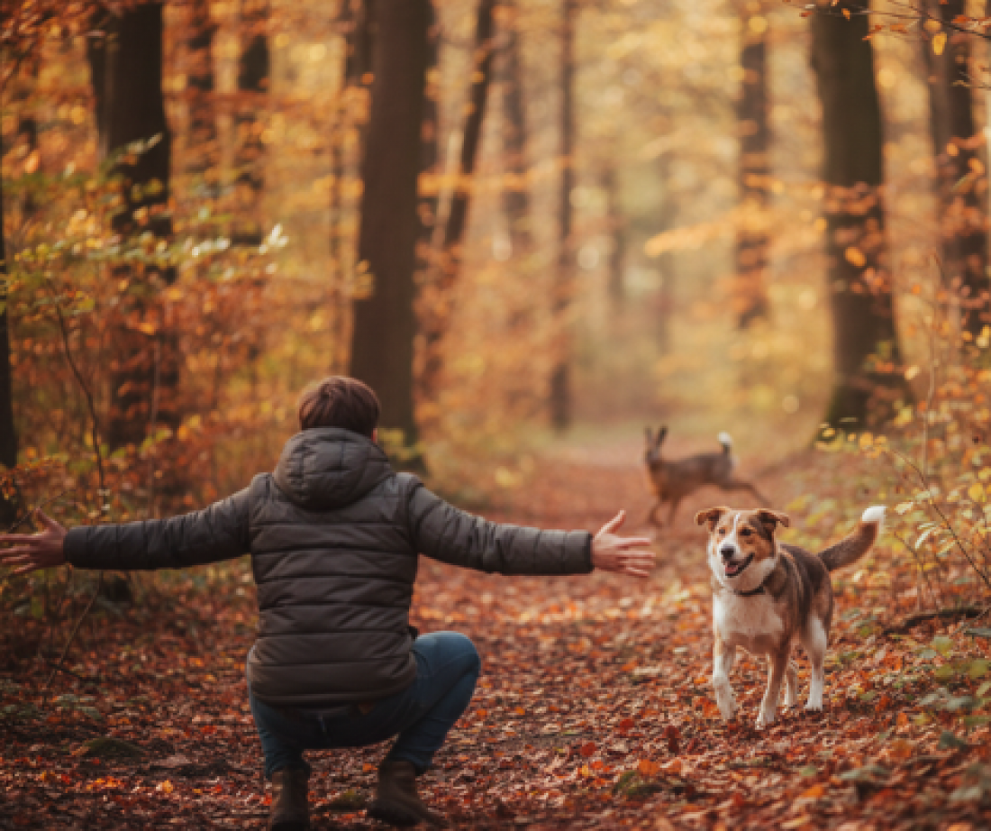 Workshop Zuverlässiger Rückruf