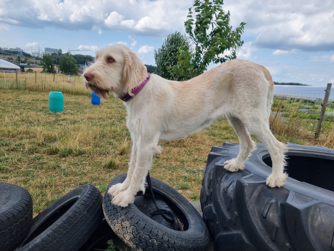 Mobility: Gelassenheit & Fokus
