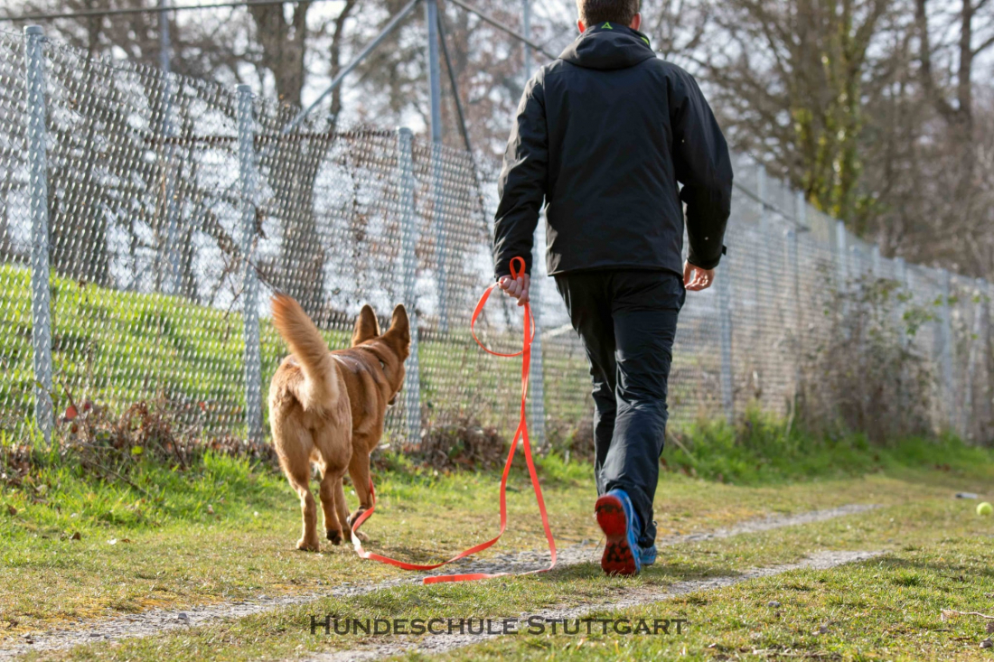 Workshop Radiustraining